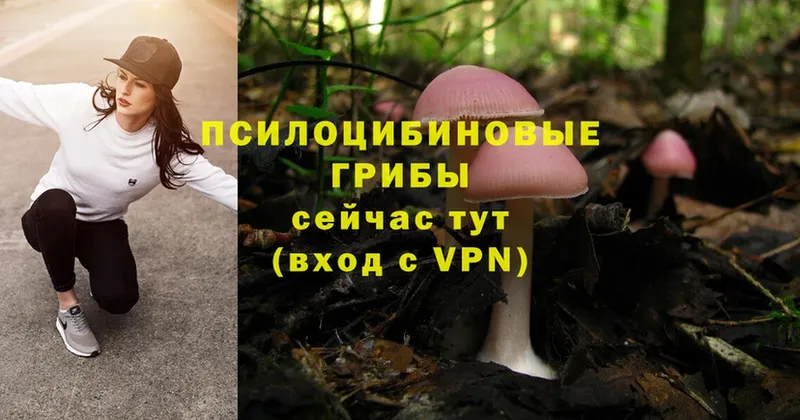 Псилоцибиновые грибы Magic Shrooms  где можно купить   MEGA вход  Фролово 